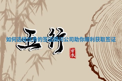 如何选择优秀的 🌬 签证顾问公司助你顺利获取 ♊ 签证