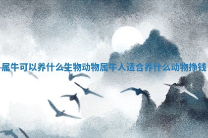 属牛可以养什么生物动物 属牛人适合养什 🛡 么动物挣 🍻 钱