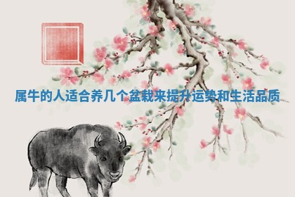属 ⬛ 牛的人适合养几个盆栽来提升运势 🔓 和生活品质 属 ⬛ 牛的人适合养几个盆栽来提升运势 🔓 和生活品质