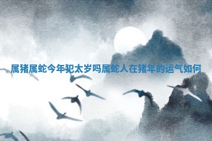 属猪属 🛌 蛇今年犯 🆘 太岁吗 属蛇人在猪年的运气如何