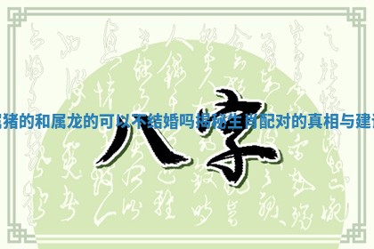 属猪的和属龙的可以不结婚吗 🦖 揭秘生 🍂 肖配对的真相与建议