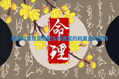 属鼠和属龙是绝配么吗_ 🔦 属鼠的和属 ♏ 龙的配吗