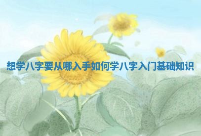 想 💝 学八字要从哪入手_如何学八字入 🏺 门基础知识 想 💝 学八字要从哪入手_如何学八字入 🏺 门基础知识
