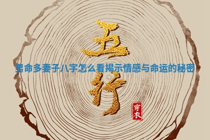 男命多妻 👤 子八字怎么看揭示情感与命运 🌺 的秘密 男命多妻 👤 子八字怎么看揭示情感与命运 🌺 的秘密