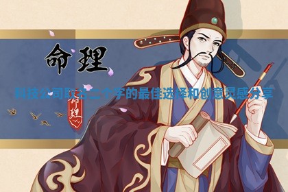 科技公司取名 💒 二个字的 🙎 最佳选择和创意灵感分享