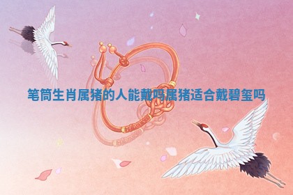 笔筒生肖属猪的人能戴 ♿ 吗 属猪适合戴碧玺 📥 吗 笔筒生肖属猪的人能戴 ♿ 吗 属猪适合戴碧玺 📥 吗