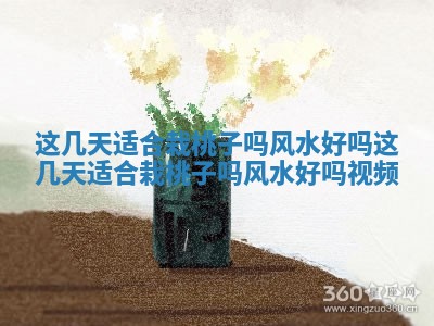 这几天适合栽桃子吗风水好 🏔 吗 这几天适合栽 🦃 桃子吗风水好吗视频